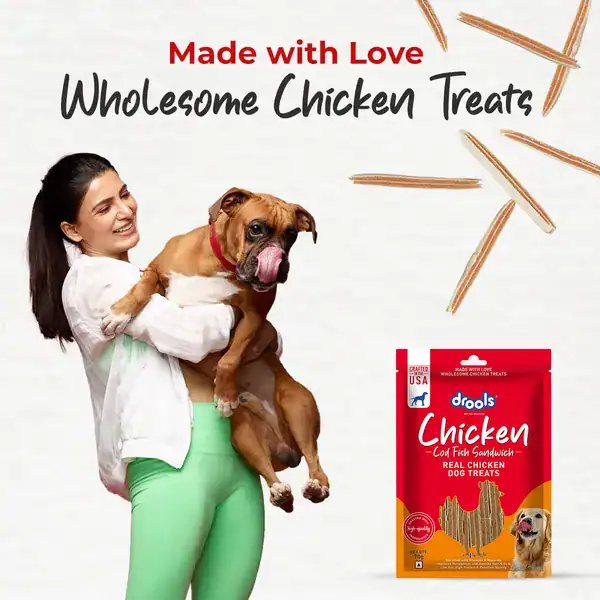 Chicken Treats for Dogs – Made with Love Woman holding a dog with chicken treats and packaging in the background.