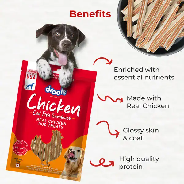 Chicken Dog Treats – Charwaha Pack of chicken dog treats with a playful puppy and a dog treat bowl, highlighting benefits for dogs.